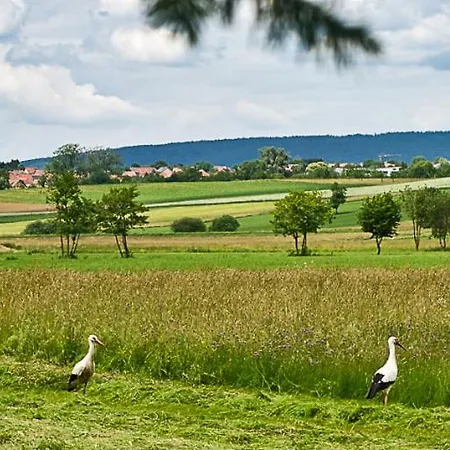 L'amarante Apartment *