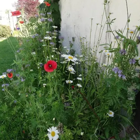 L'amarante Apartment Betschdorf