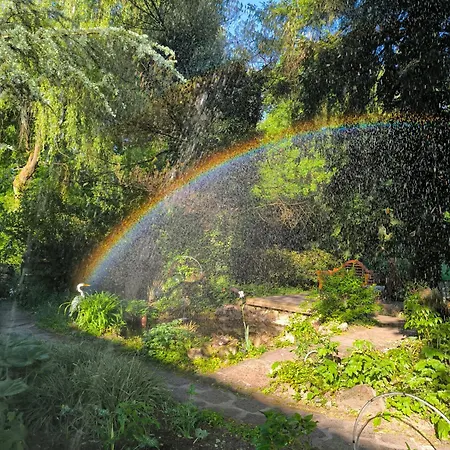 L'amarante * Betschdorf