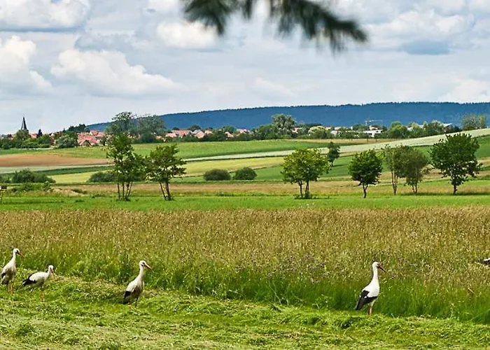 L'amarante Appartement *